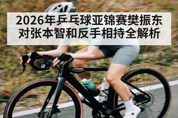 2026年乒乓球亚锦赛樊振东对张本智和反手相持全解析